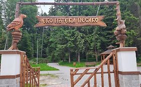 Mountain Paradise In Aparthotel Borovets Gardens